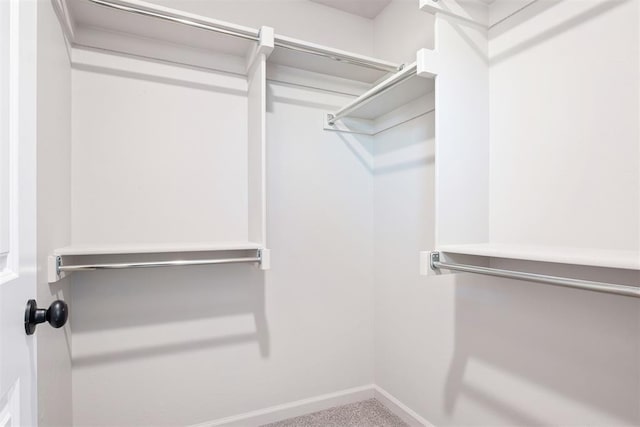 spacious closet featuring carpet flooring