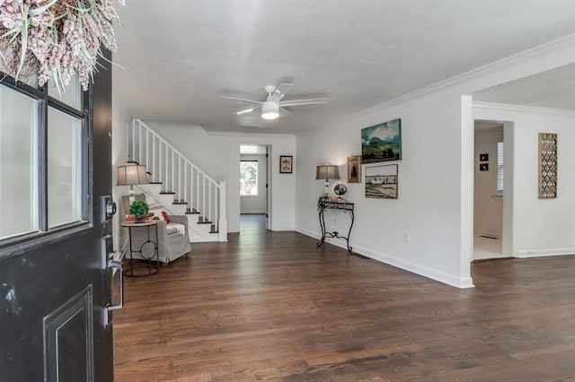 entrance foyer with dark hardwood / wood-style floors, ceiling fan, and ornamental molding