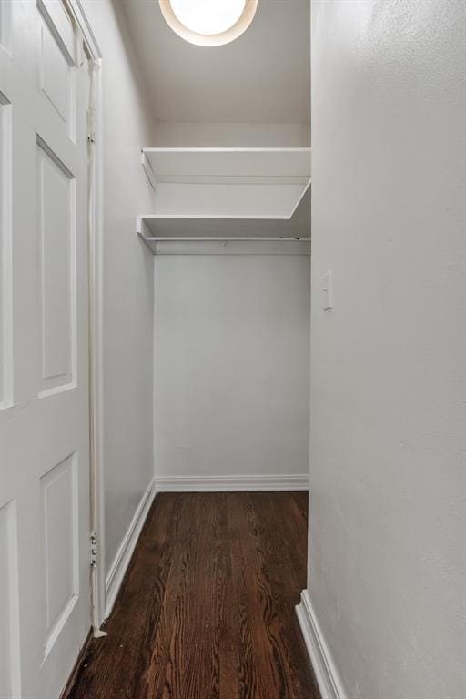 walk in closet featuring dark hardwood / wood-style floors