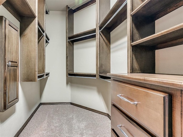 walk in closet featuring carpet flooring