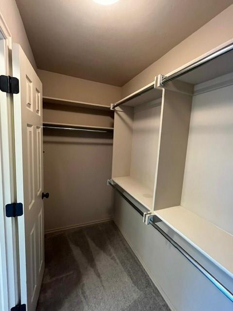 spacious closet featuring dark colored carpet