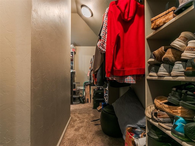 walk in closet featuring carpet and vaulted ceiling