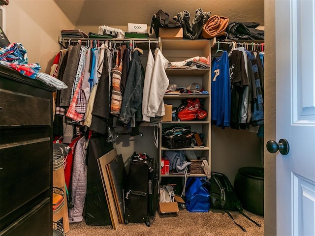 spacious closet with carpet floors