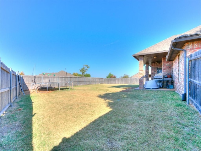 view of yard with a trampoline