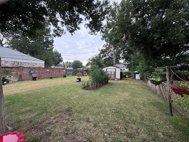 view of yard featuring a shed