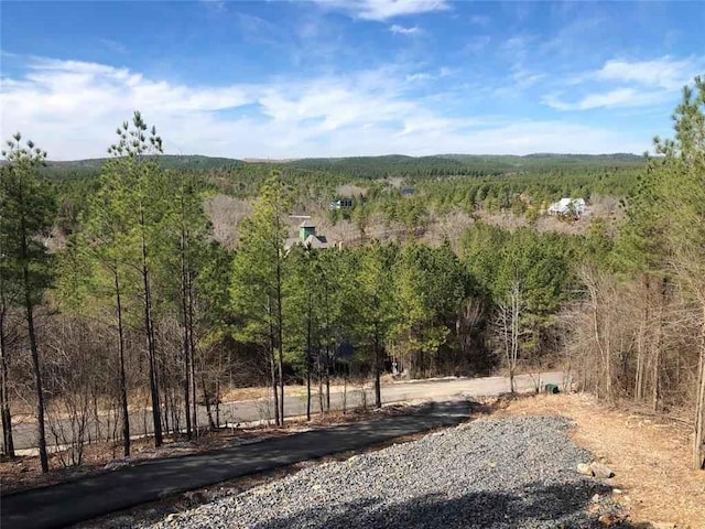 88 E Fork Cir, Broken Bow, OK 74728 - view of nature with a wooded view
