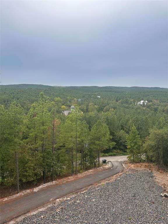 88 E Fork Cir, Broken Bow, OK 74728 - view of street with a forest view
