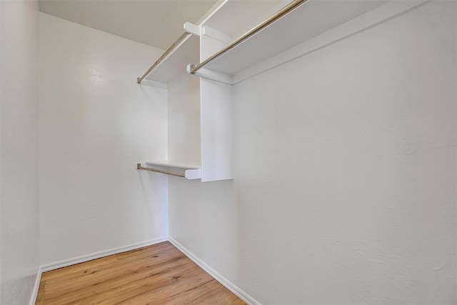 spacious closet with wood-type flooring