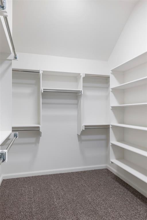 spacious closet with carpet floors and vaulted ceiling