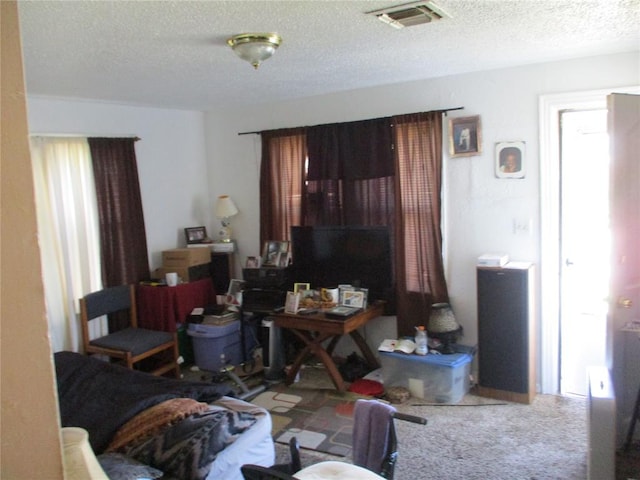 living room with carpet flooring and a textured ceiling