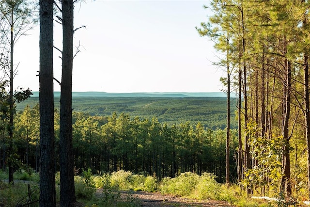 view of mountain feature