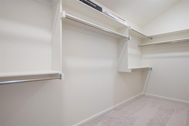 1103 Mount Irving Way, Norman, OK 73071 - walk in closet featuring carpet flooring and vaulted ceiling
