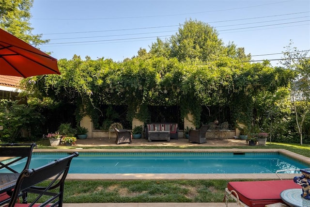 view of swimming pool with outdoor lounge area and a patio area