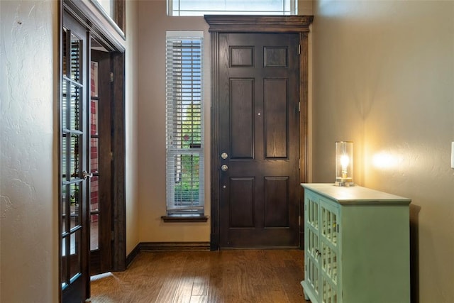 entrance foyer featuring dark hardwood / wood-style flooring