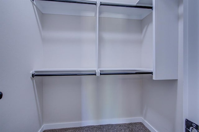 spacious closet featuring carpet