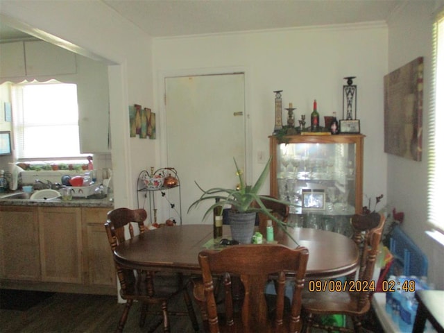 dining space featuring sink, dark wood-type flooring, and ornamental molding