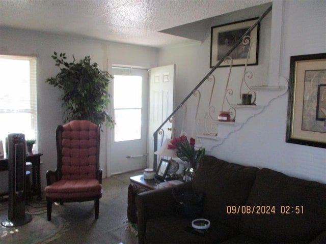 living room with carpet flooring and a textured ceiling