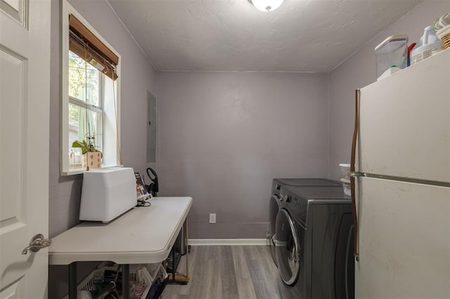 laundry area with electric panel, light hardwood / wood-style flooring, and washing machine and clothes dryer