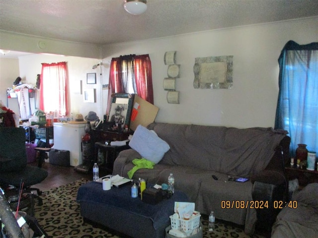 living room with a textured ceiling