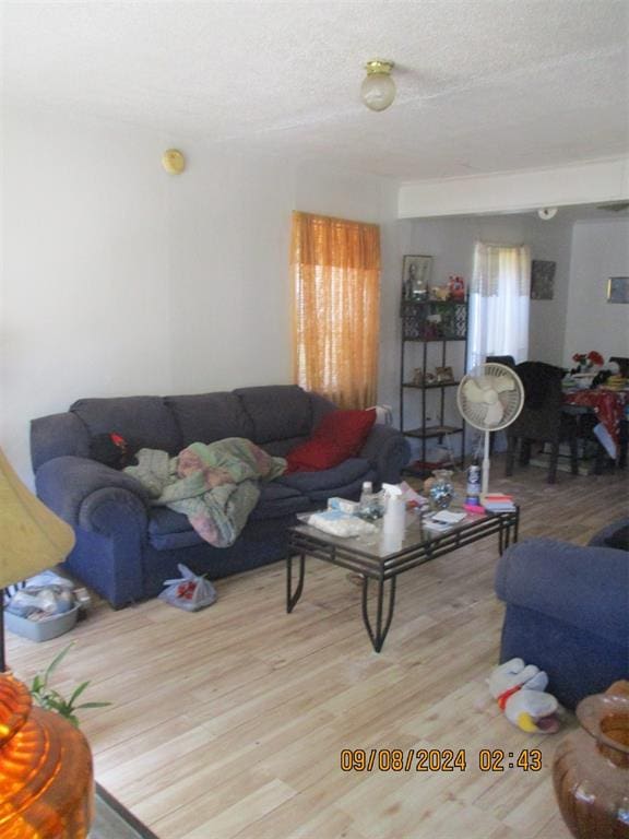 living room with a textured ceiling and light hardwood / wood-style floors