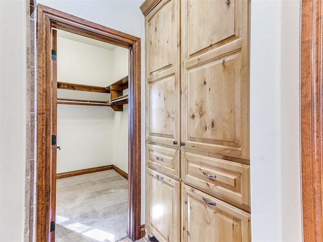 spacious closet featuring carpet