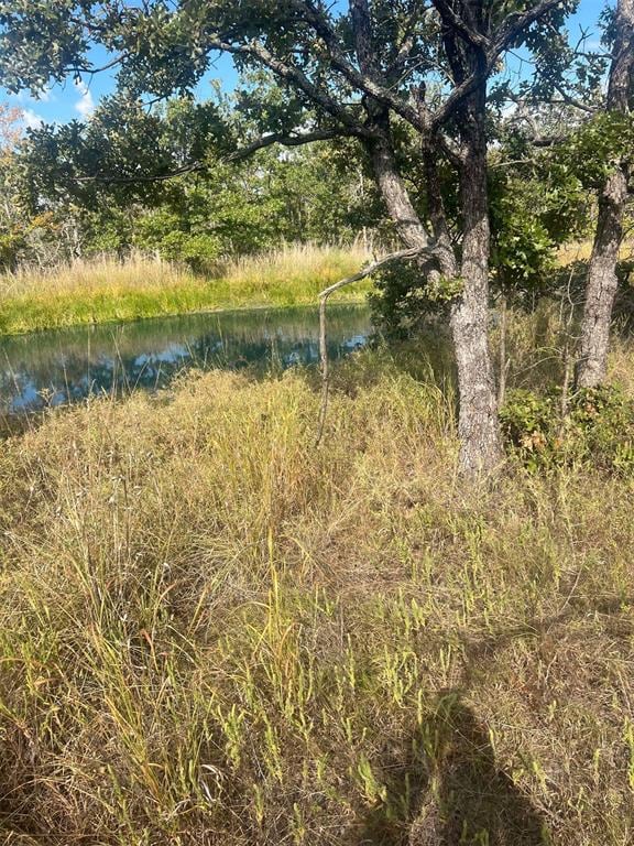 view of local wilderness with a water view