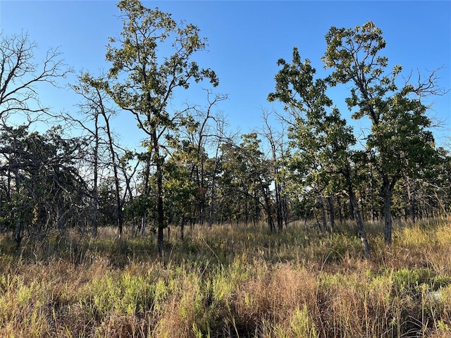 view of landscape