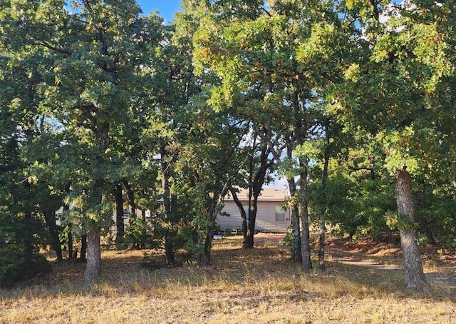 view of local wilderness