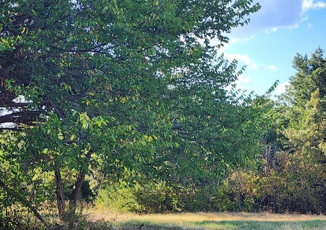 view of landscape