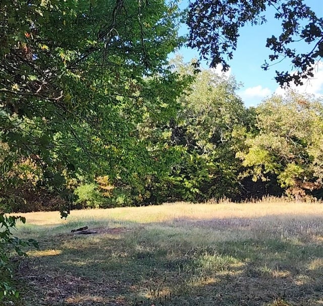 view of local wilderness