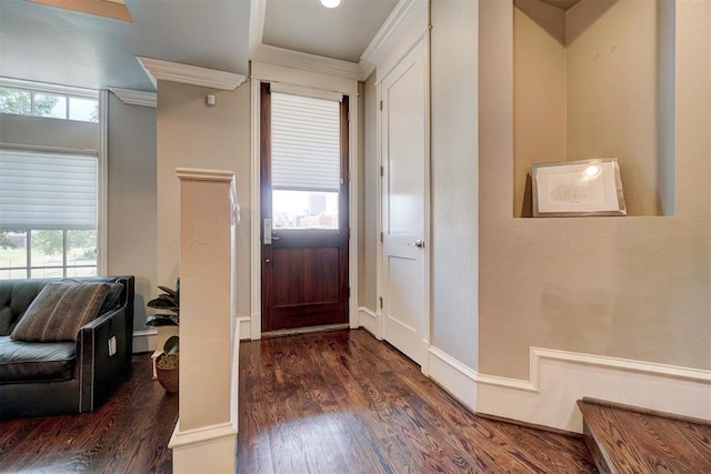 entryway featuring dark hardwood / wood-style flooring, baseboard heating, and a wealth of natural light