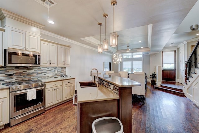 kitchen with dark hardwood / wood-style flooring, stainless steel appliances, a raised ceiling, sink, and a center island with sink