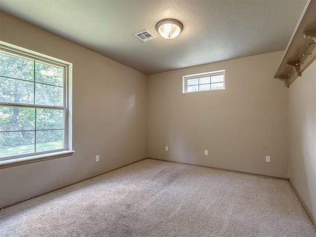 carpeted spare room with a healthy amount of sunlight