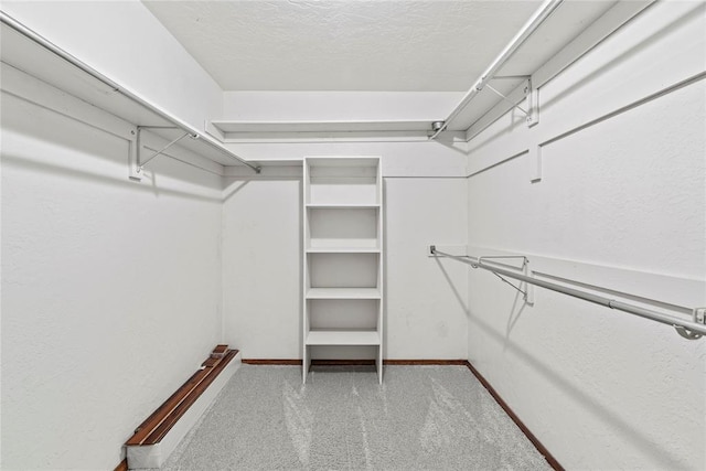 walk in closet featuring light carpet