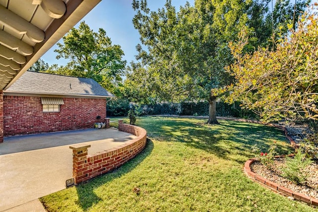 view of yard featuring a patio area