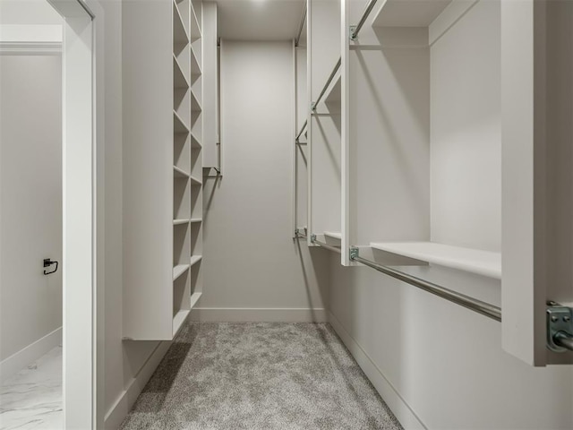 spacious closet featuring light carpet