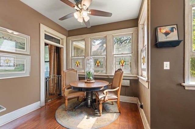 dining space with plenty of natural light, ceiling fan, and dark hardwood / wood-style flooring