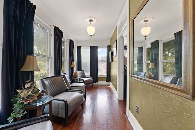 living area with dark hardwood / wood-style floors and a wealth of natural light