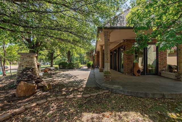 view of yard featuring a patio area