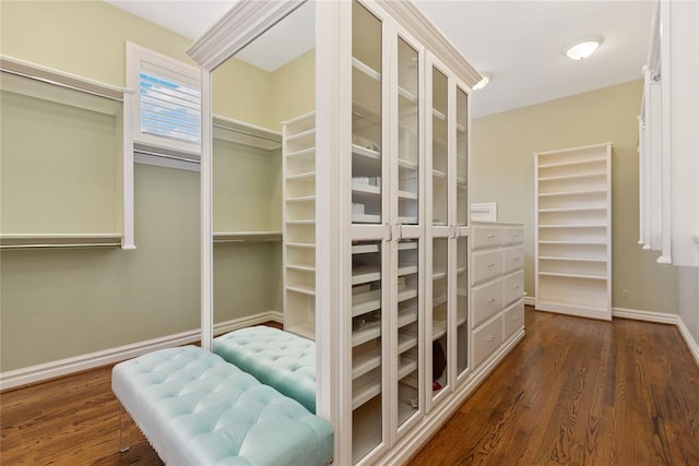 walk in closet featuring dark wood-type flooring