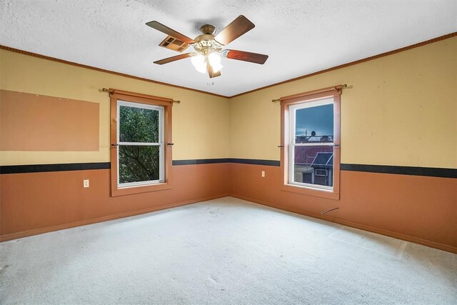 carpeted empty room featuring ceiling fan, ornamental molding, and a textured ceiling