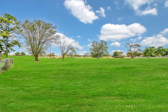 view of yard featuring a rural view