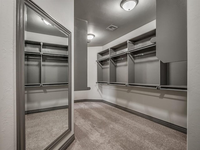 spacious closet featuring carpet floors