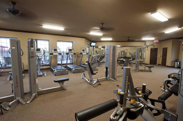 exercise room featuring ornamental molding, ceiling fan, and a healthy amount of sunlight