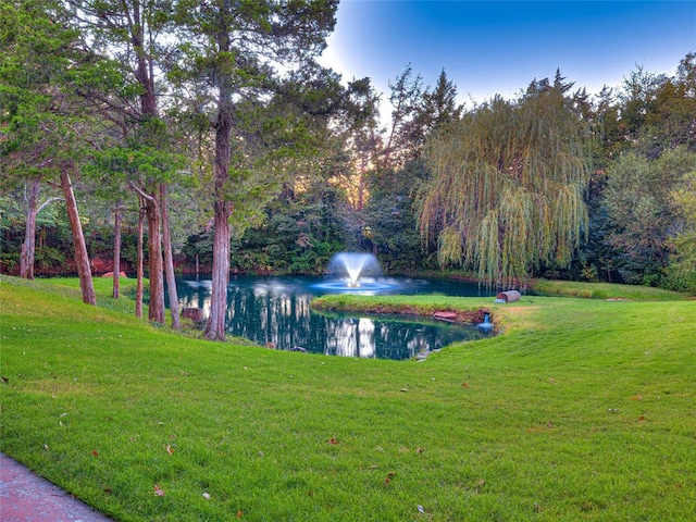 exterior space featuring a lawn and a water view