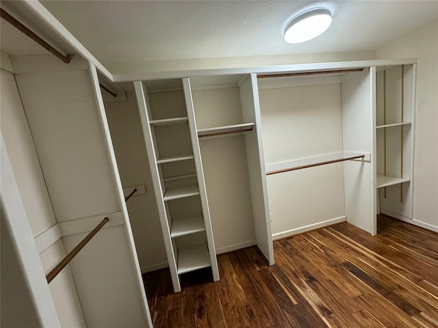 spacious closet with dark wood-type flooring