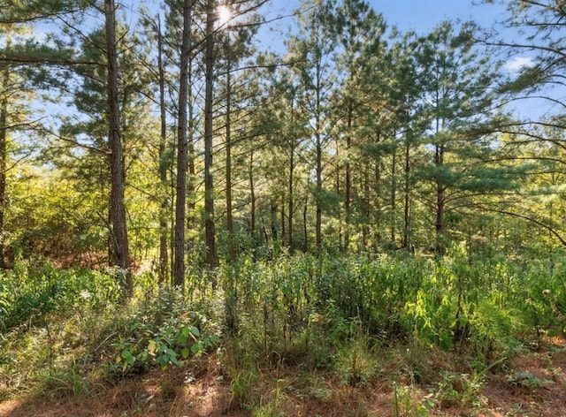 134 Creekside Trl, Broken Bow, OK 74728