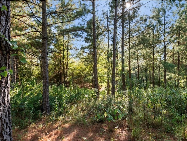 134 Creekside Trl, Broken Bow, OK 74728