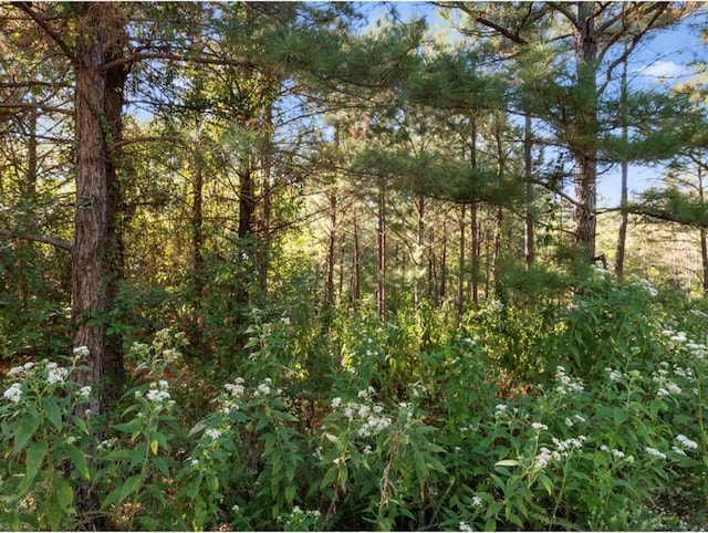 134 Creekside Trl, Broken Bow, OK 74728
