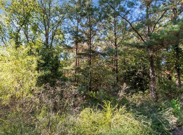 134 Creekside Trl, Broken Bow, OK 74728